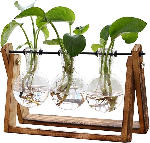 FLOWER Plant Terrarium — product view